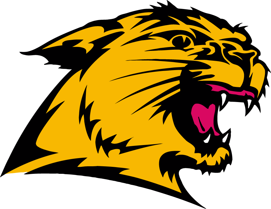 Northern Michigan Wildcats 1993-2015 Secondary Logo t shirts iron on transfers
